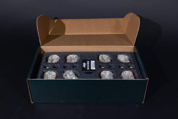 SOA Piston Kit | XA528